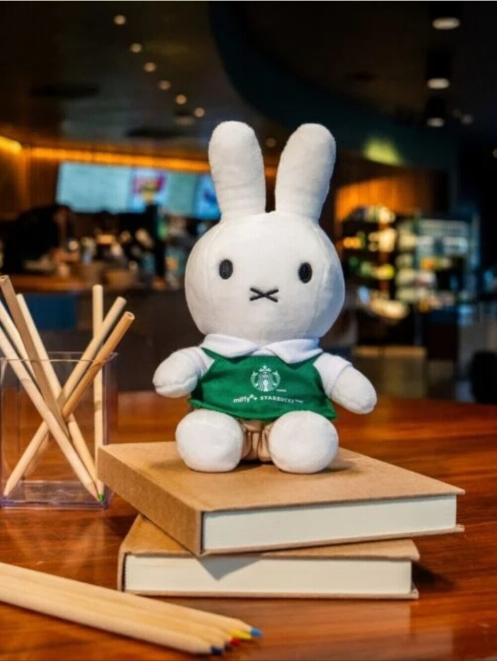 STARBUCKS ×MIFFY PLISHIE BOX